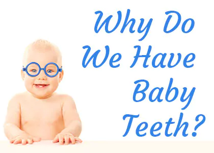 Why-Baby-Teeth